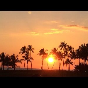 Meet your Posher, Joelle